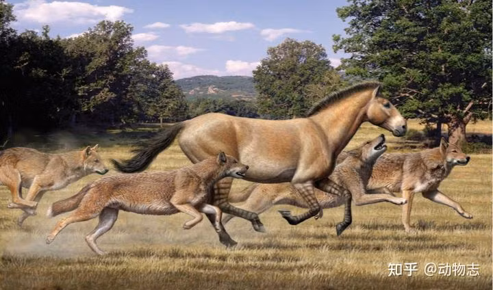 Cuoc chien giua cho va meo da co tu cach day 17 trieu nam-Hinh-6