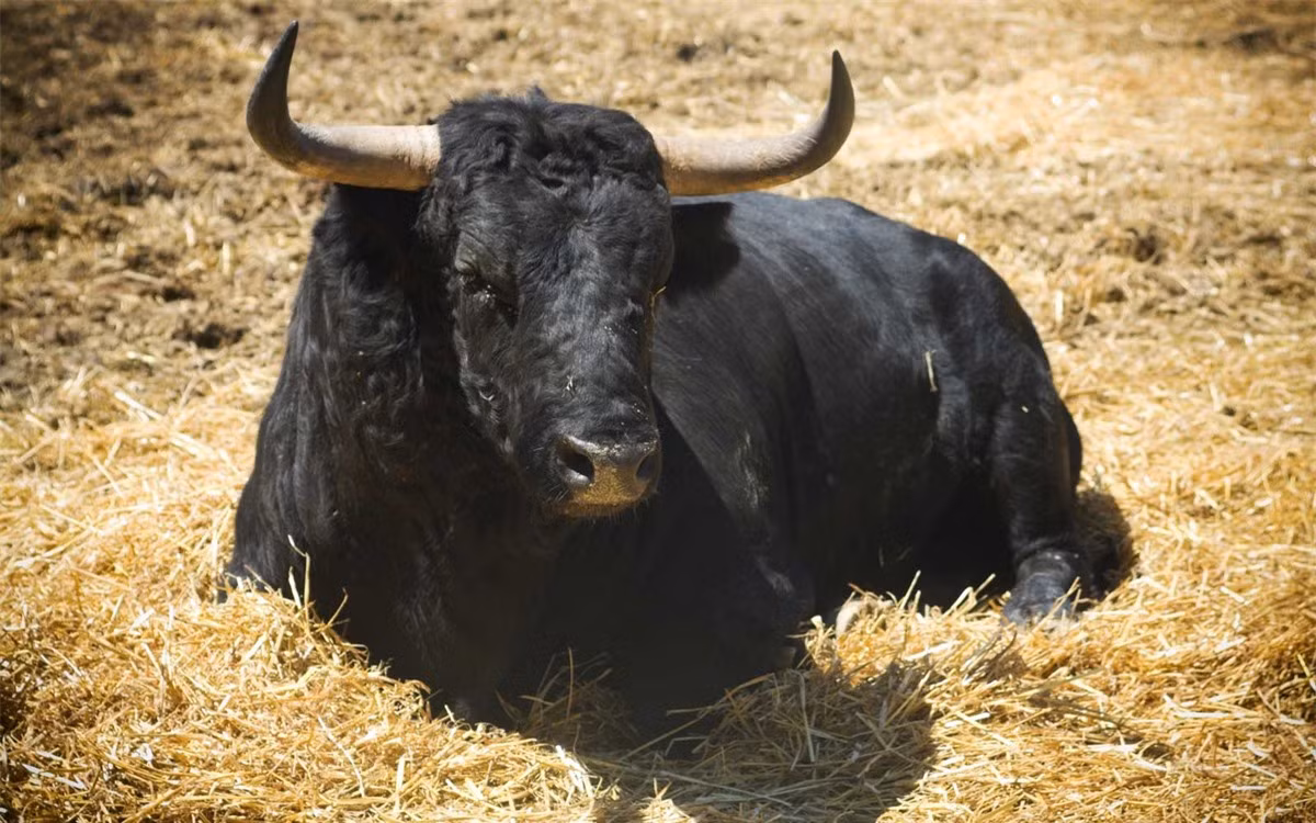 Top 5 quốc gia ăn thịt chính con vật biểu tượng ảnh 5