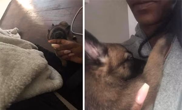 Co gai mua cho, den gap bac si thu y moi nhan ra minh bi lua-Hinh-2