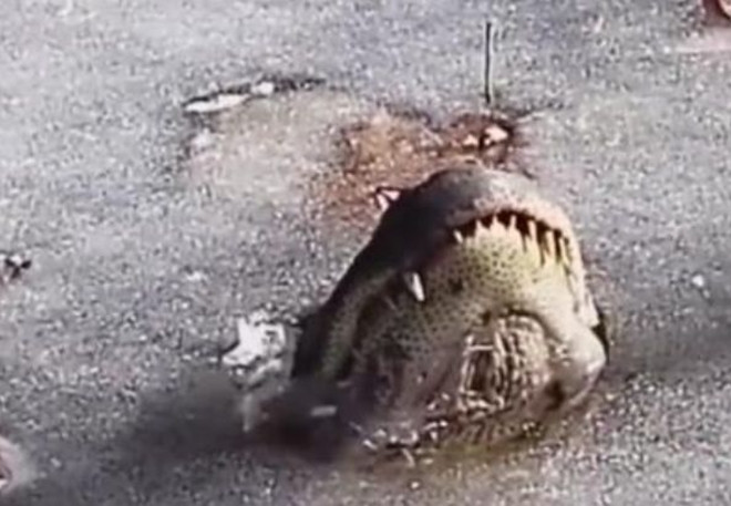 Mat ho dong bang bong noi len 