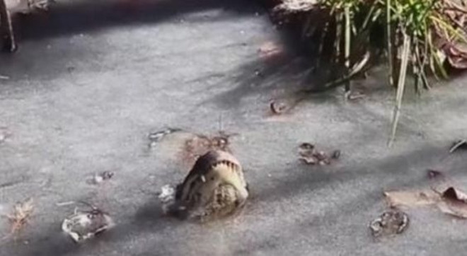 Mat ho dong bang bong noi len 