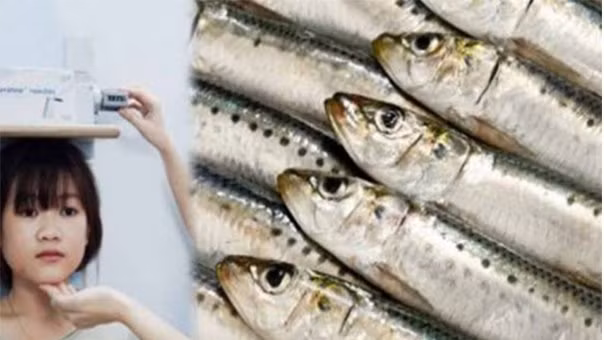 2 loai ca cuc giau canxi co the thay the 3 ly sua mot ngay