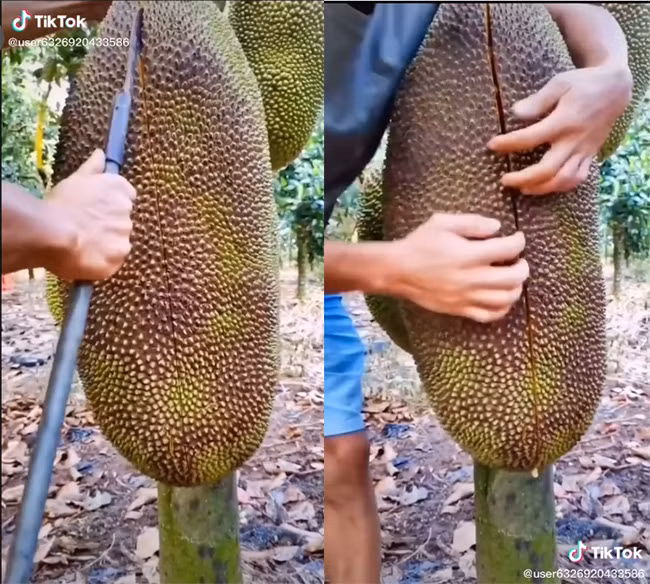 Xe qua mit sieu khung, chang trai khien CDM tram tro vi thu ben trong