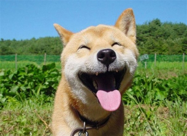 Ai có thể nói rằng lè lưỡi là một cử chỉ thô lỗ? (ảnh: Brightside.me),