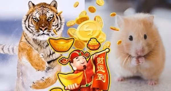  Tuổi Dần. Những người cầm tinh con Hổ sẽ gặp rất nhiều may mắn trong thời điểm 2 tuần tới, họ sẽ thu hết mọi tài lộc trong thiên hạ.