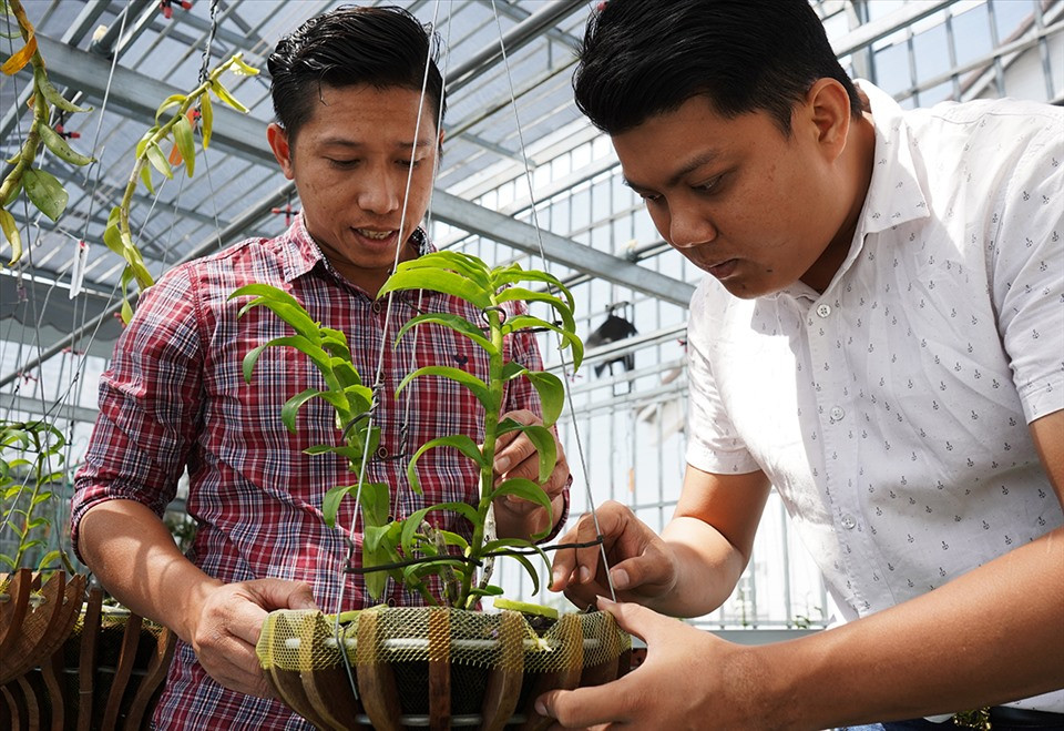 “Mỗi anh em đều có công việc riêng, chúng tôi sắp xếp công việc ổn định, và dành thời gian rảnh rỗi để chơi lan. Từ khi vườn lan thành lập đến nay đã trở thành điểm gặp gỡ của nhiều anh em có chung niềm đam mê. Ở đó, ngoài việc kinh doanh, mọi người cùng chia sẻ, trao đổi kinh nghiệm trồng lan, cùng thỏa niềm đam mê”, anh Hùng nói.