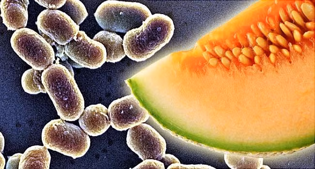 Can benh nguy hiem se mac neu dung do an trong tu lanh sai cach-Hinh-4