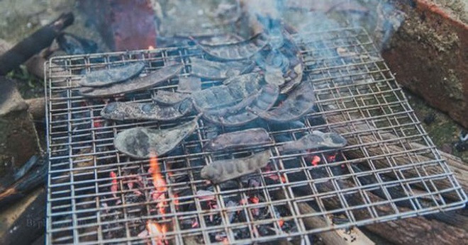 6 cách xua đuổi muỗi hoàn toàn tự nhiên đem lại hiệu quả lâu dài ảnh 3