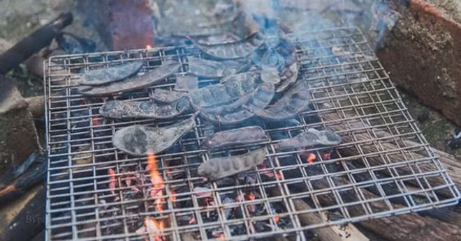 6 cách xua đuổi muỗi hoàn toàn tự nhiên đem lại hiệu quả lâu dài ảnh 3