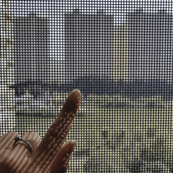 6 cách xua đuổi muỗi hoàn toàn tự nhiên đem lại hiệu quả lâu dài ảnh 4