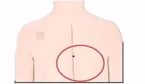 Bay not ruoi giup ban giau sang, som muon gi cung phat phat lam tien!-Hinh-5