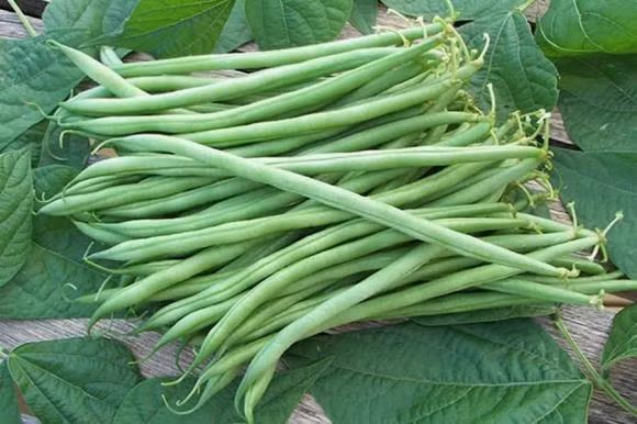 4 loai rau giup tang chieu cao thong dung, 