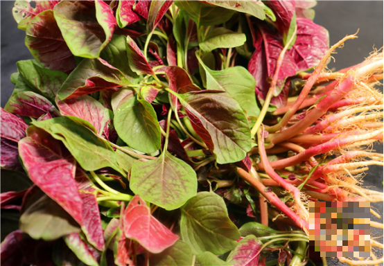 4 loai rau giup tang chieu cao thong dung, 