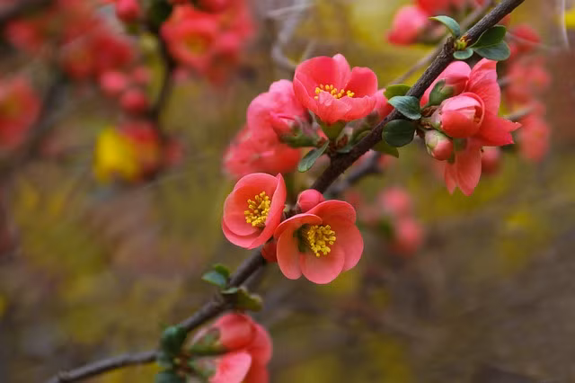 Sinh vào ngày Âm lịch này, đàn ông giàu có, đàn bà chan chứa tình yêu Sinh vao ngay Am lich nay, dan ong giau co, dan ba chan chua tinh yeu