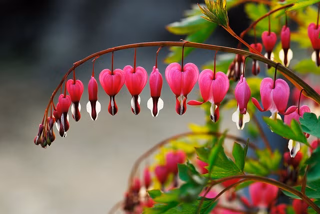 Sinh vào ngày Âm lịch này, đàn ông giàu có, đàn bà chan chứa tình yêu - Hình 2 Sinh vao ngay Am lich nay, dan ong giau co, dan ba chan chua tinh yeu-Hinh-2