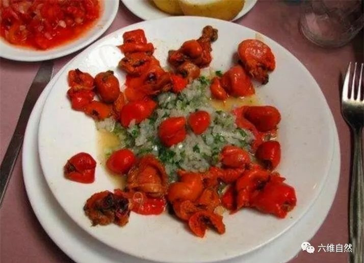 Nguoi dan ong soc khi biet cuc da nhat duoc la sinh vat co the chuyen gioi-Hinh-4