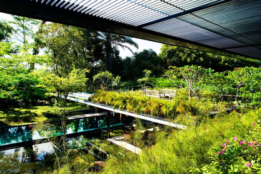 Ngắm nhìn ngôi nhà với khu vườn trên mái và hồ nước giữa nhà - Hình 4 Ngam nhin ngoi nha voi khu vuon tren mai va ho nuoc giua nha-Hinh-4