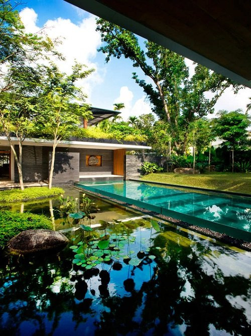 Ngắm nhìn ngôi nhà với khu vườn trên mái và hồ nước giữa nhà - Hình 6 Ngam nhin ngoi nha voi khu vuon tren mai va ho nuoc giua nha-Hinh-6