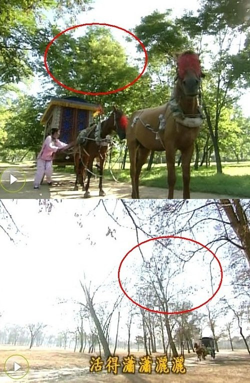 Hàng cây lúc trước vẫn xanh um, sau khi hoàng thượng nhận Tiểu Yến Tử bỗng héo úa hết cả.