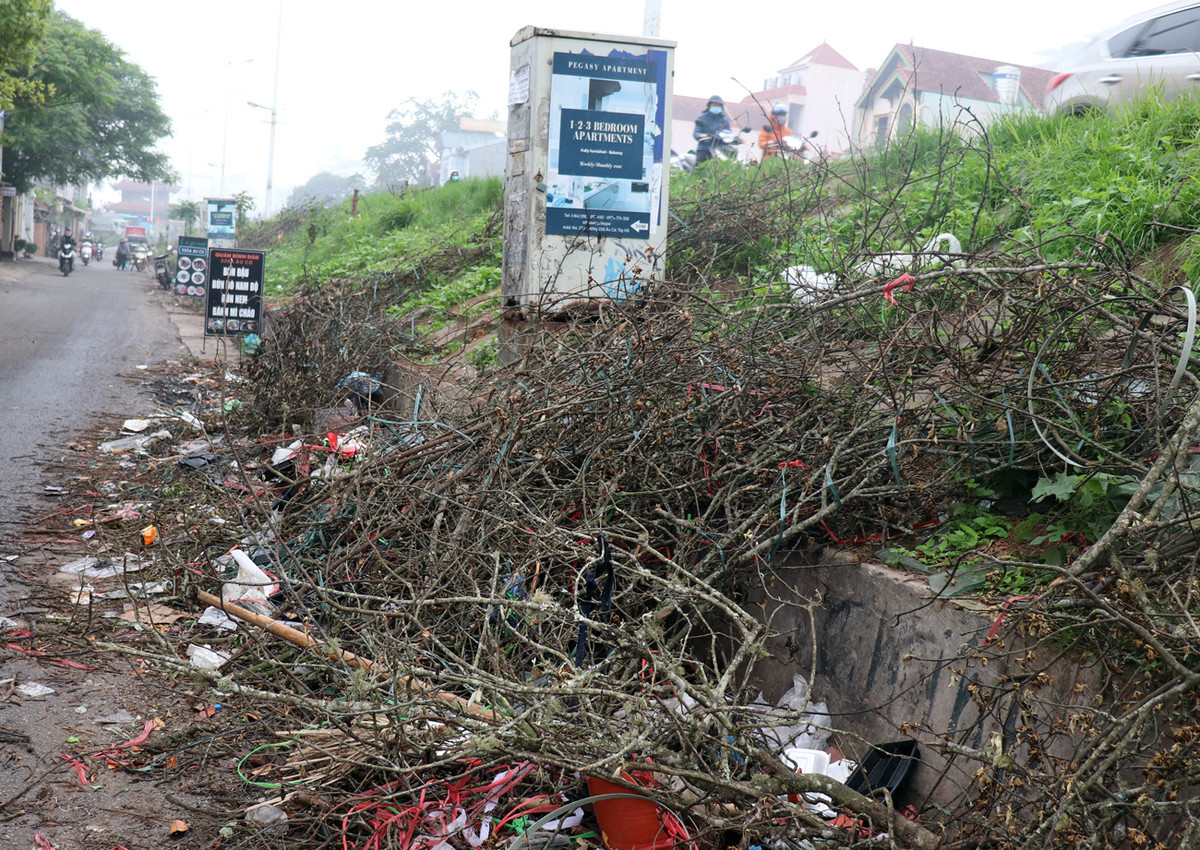 Tiểu thương ngậm ngùi vứt bỏ hoa lê trắng thành đống chờ đốt bỏ - Hình 6 Tieu thuong ngam ngui vut bo hoa le trang thanh dong cho dot bo-Hinh-6
