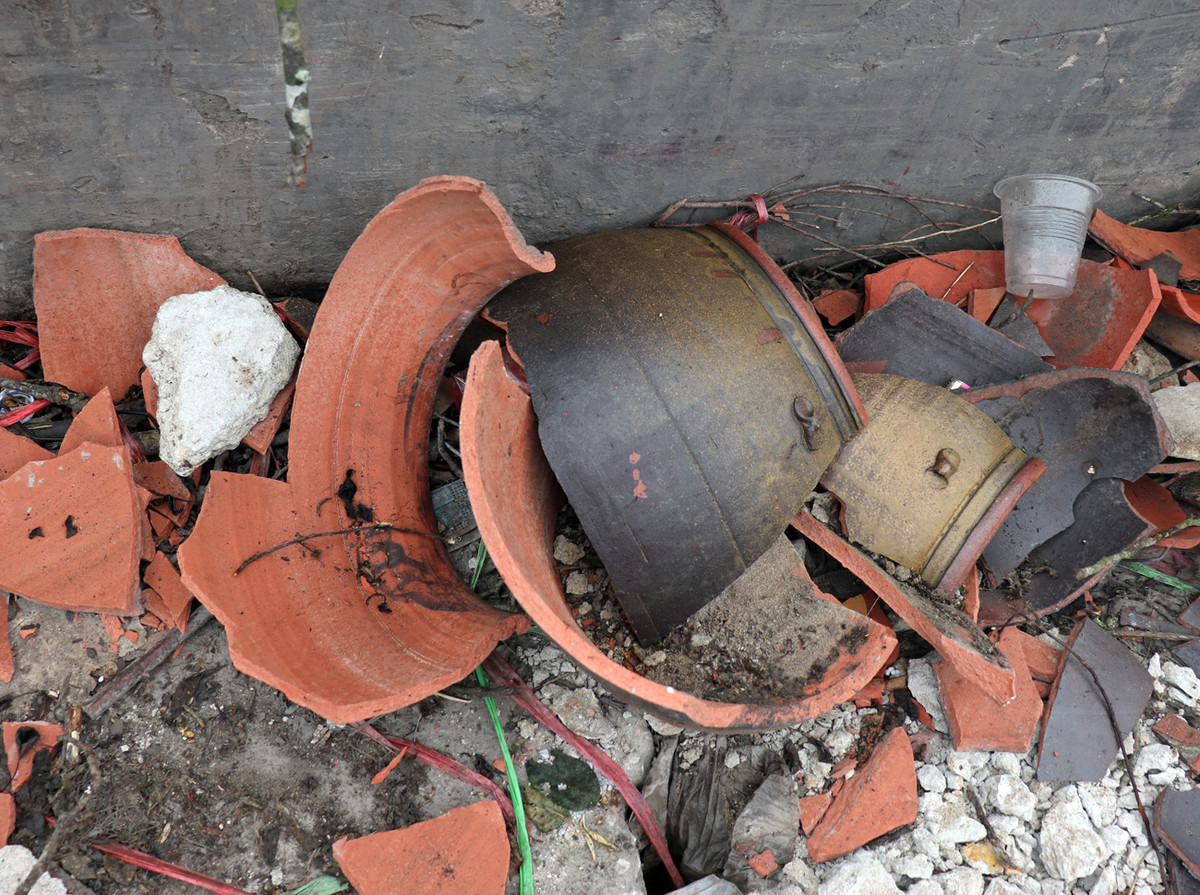 Tiểu thương ngậm ngùi vứt bỏ hoa lê trắng thành đống chờ đốt bỏ - Hình 9 Tieu thuong ngam ngui vut bo hoa le trang thanh dong cho dot bo-Hinh-9