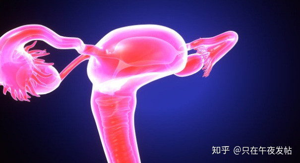 3 cô gái bị suy buồng trứng, nguyên nhân là do thói quen này 3 co gai bi suy buong trung, nguyen nhan la do thoi quen nay