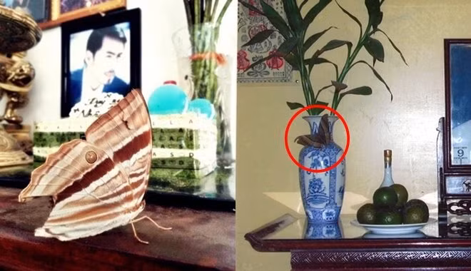 2 dau hieu tren ban tho chung to gia chu duoc an loc to tien