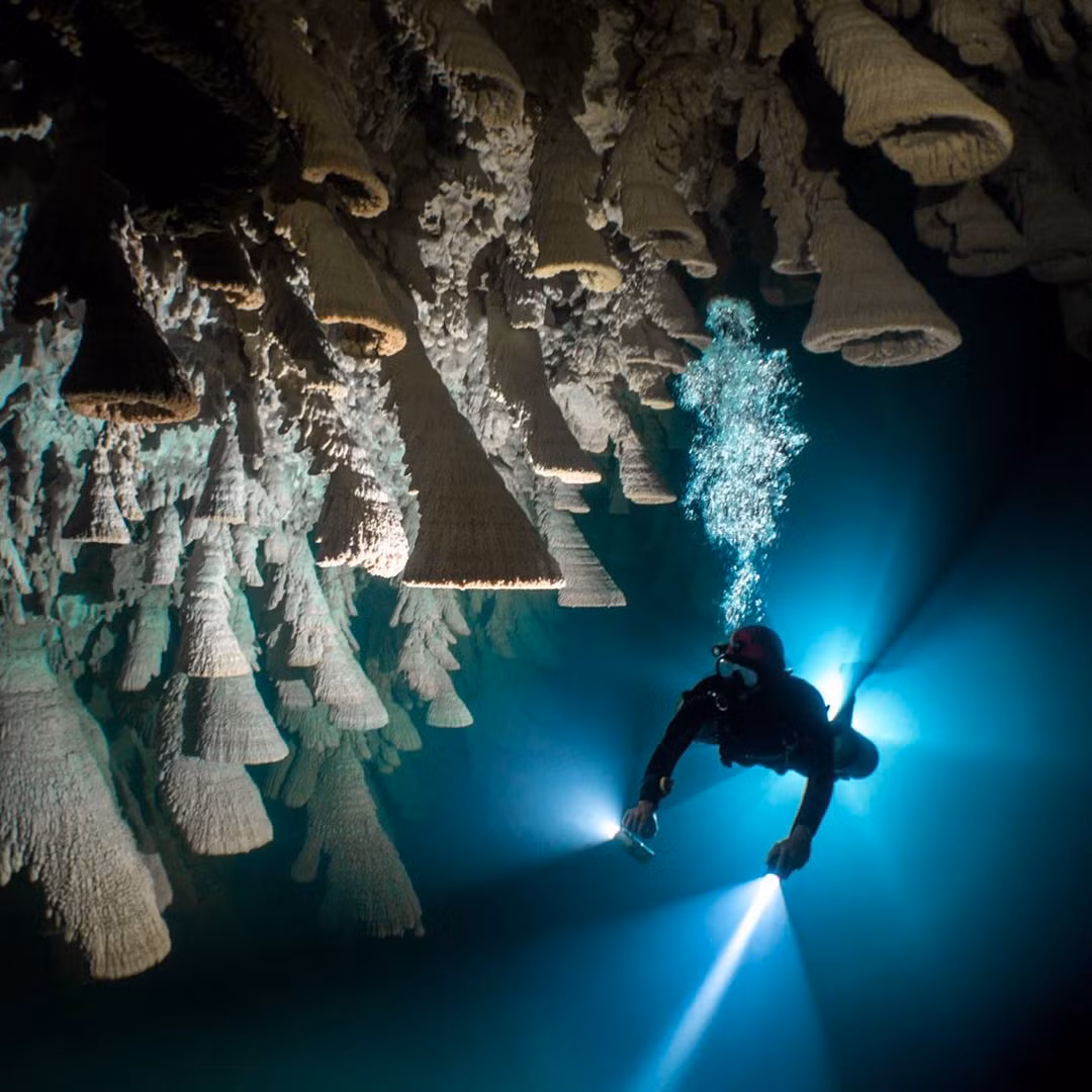 Đây là một trong những điểm lặn được đánh giá là hấp dẫn nhất thế giới, đem lại cho người lặn cảm giác như lạc vào một thế giới khác. Ảnh: Cenoteadventures.