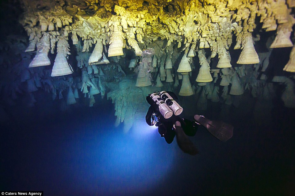 "Chuông địa ngục" được tìm thấy ở lưng chừng hố sụt dạng động hồ cát này. Chúng che phủ toàn bộ vòm hang, tạo cảnh tượng siêu thực như ở một hành tinh khác. Ảnh: CNA.