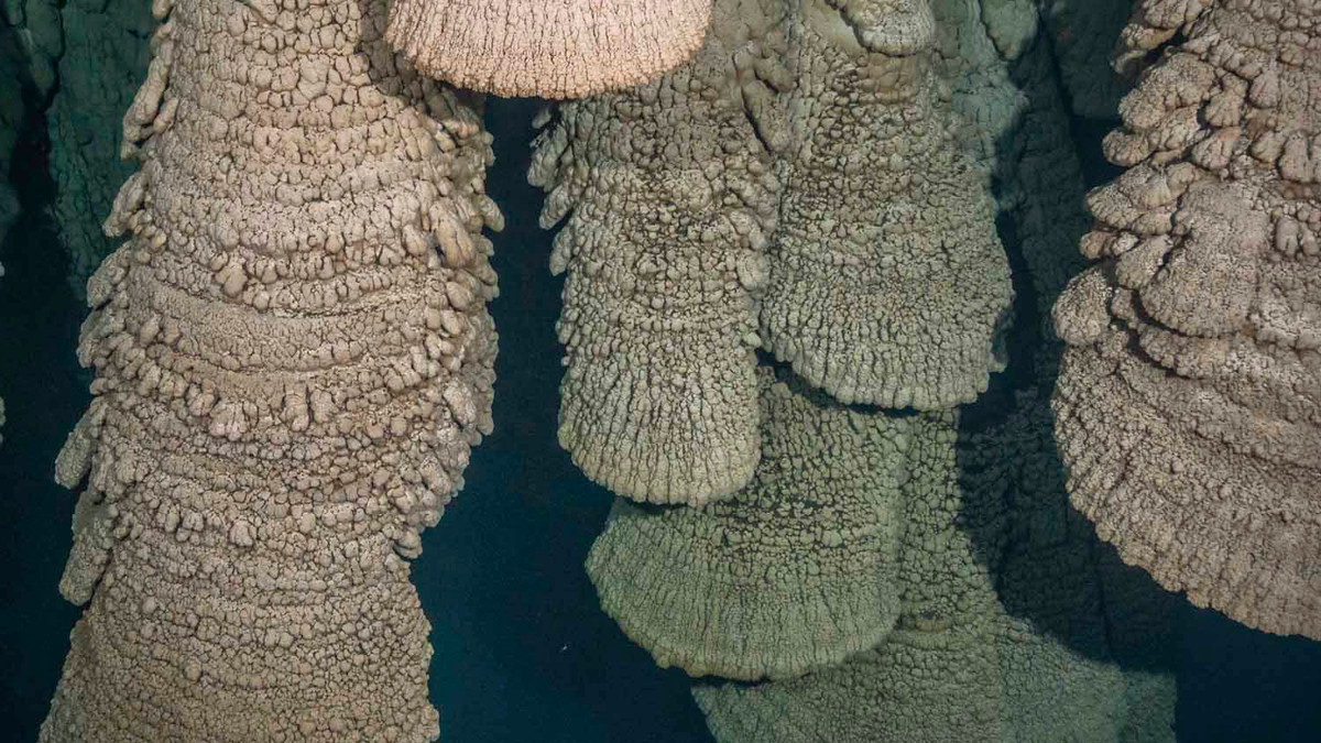 Những thạch nhũ đặc biệt này đã tồn tại từ rất lâu. Chúng bắt đầu hình thành từ khoảng 5.000 năm trước và tiếp tục lớn lên cho tới ngày nay. Ảnh: Cenotetours.