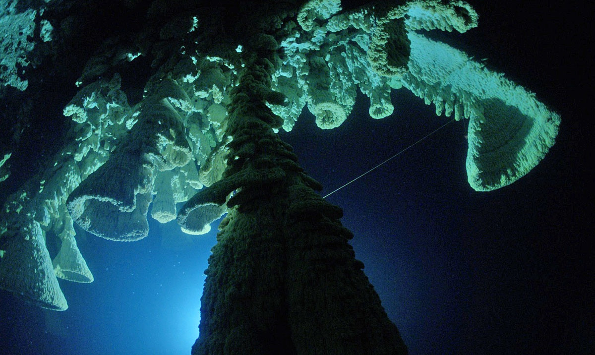 Thạch nhũ dạng này thường hình tròn hoặc elip, có thể dài đến 2 m, đường kính lên đến 1 m và độ dày đến 3 cm. Ảnh: Daily Mail.