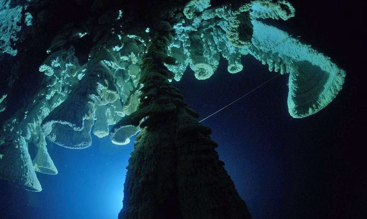 Thạch nhũ dạng này thường hình tròn hoặc elip, có thể dài đến 2 m, đường kính lên đến 1 m và độ dày đến 3 cm. Ảnh: Daily Mail.