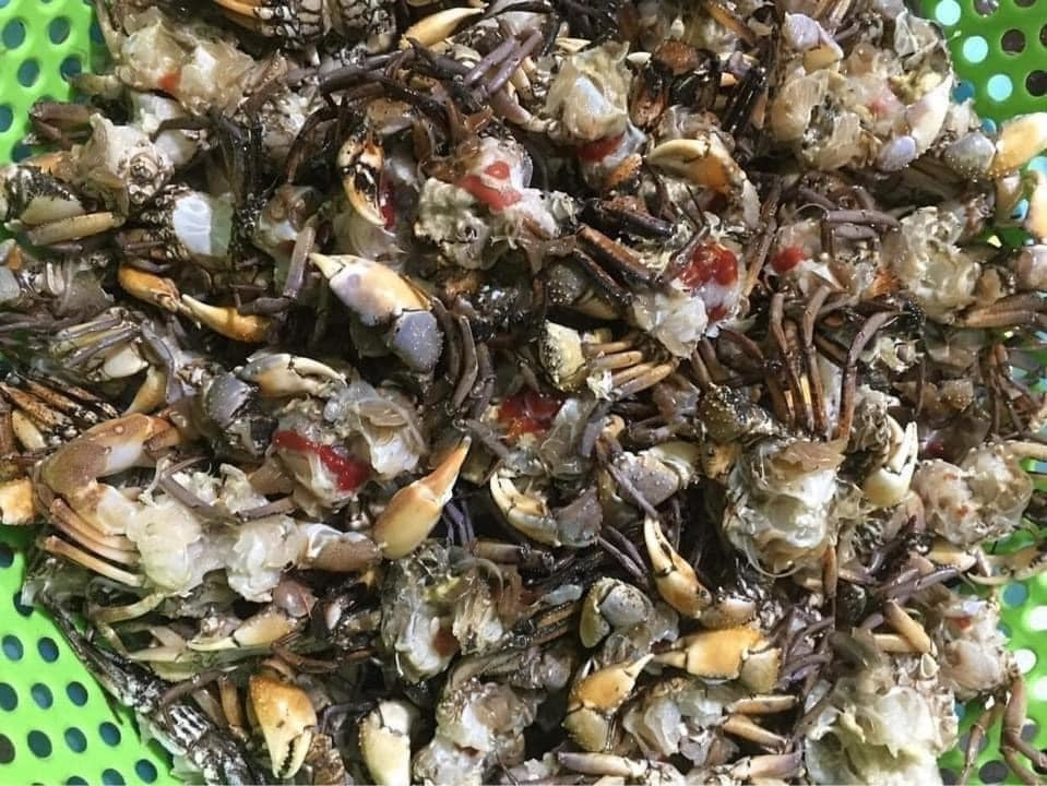 Cua dong xay san dong lanh ban la liet, gia re dang so