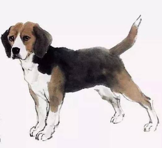 Dù khởi nghiệp hay đang ở một vị trí nào đó, họ đều có thể tiếp tục học tập, dựa vào sự tích lũy những năng lực này, cuối cùng cũng có ngày khởi sắc, vạn sự như ý, để ước mơ thành hiện thực. 