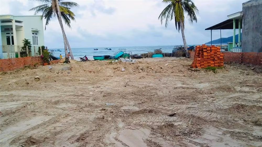 Phan Nhu Thao dap tra tin don 