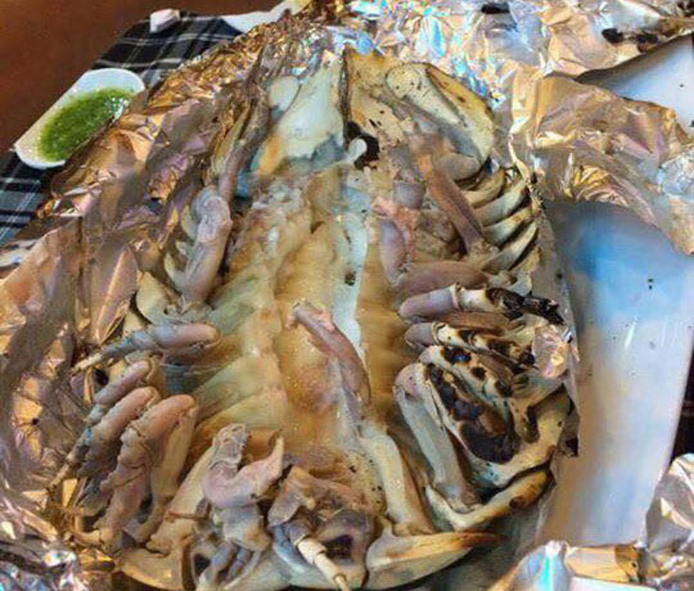 Loai sinh vat bien xau xi duoc san don vi ngon hon ca tom hum-Hinh-4