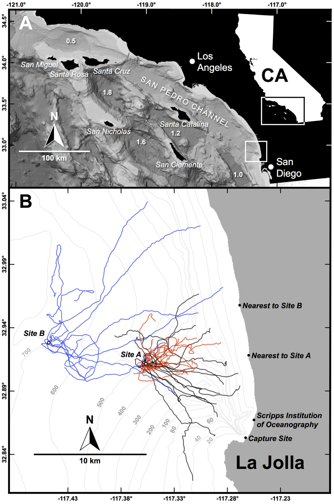 Bien rong the co bao gio ca map bi lac duong hay khong?-Hinh-2