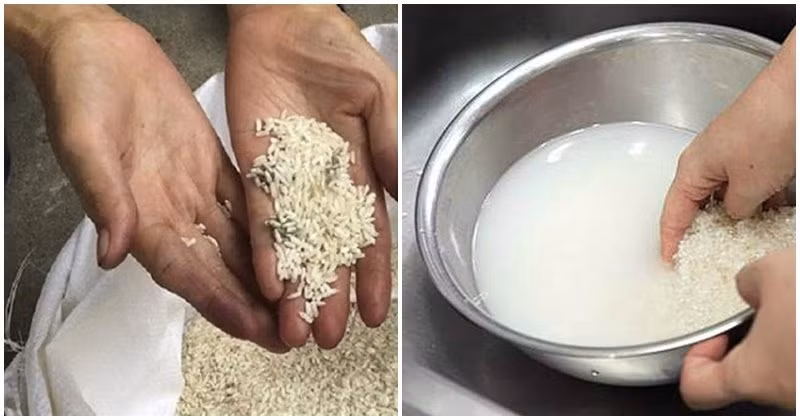 Di mua gao can tuyet doi tranh 3 loai nay vi khong co dinh duong