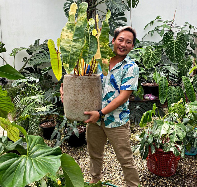 Tram trieu den nua ty dong 1 chiec la canh-Hinh-5