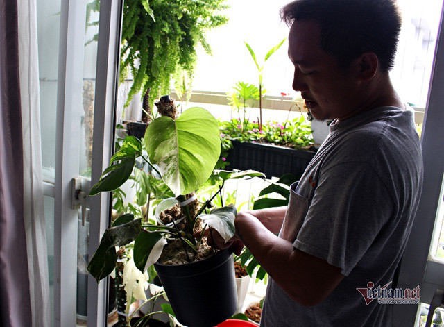 Tram trieu den nua ty dong 1 chiec la canh-Hinh-7