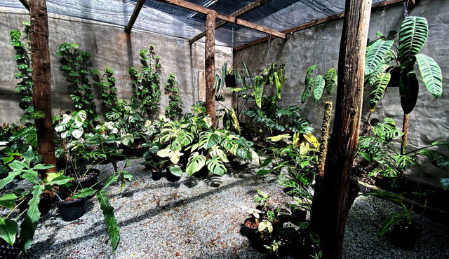 Tram trieu den nua ty dong 1 chiec la canh