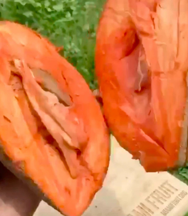 Bo qua hong xiem sieu to khong lo, phan ruot khien tat ca ngac nhien-Hinh-2