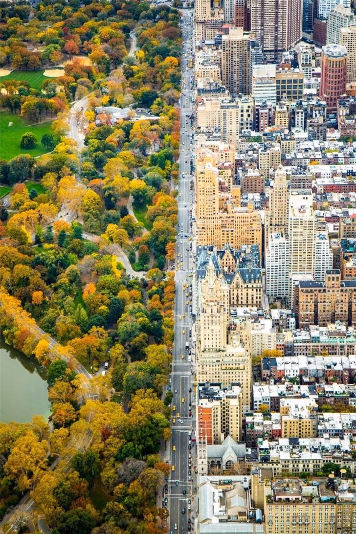 Hai nửa đối lập của New York hiện lên dưới góc chụp từ trên cao của nhiếp ảnh gia Kayte Dolmatch.
