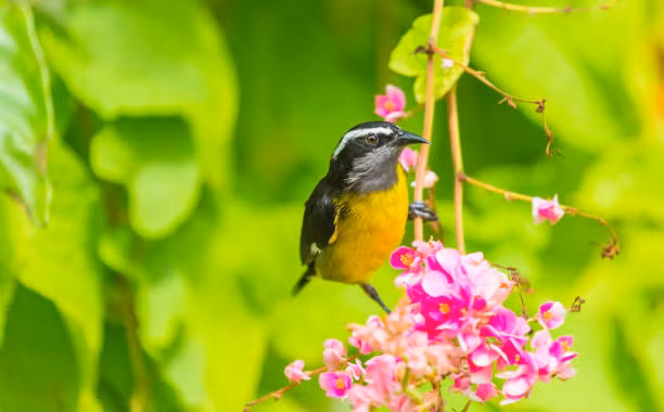 Sinh vao thang Am lich nay gioi tao dung quan he, vuong van quy nhan-Hinh-3