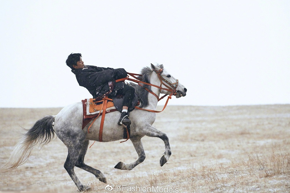 Tháng 2, Đinh Chân dự lễ trao giải Weibo Awards cùng dàn sao hạng A của ngành giải trí, đóng vai khách mời trong tác phẩm điện ảnh Cuộc sống mới của chúng ta: Hoan nghênh đến với trại Cát Na hay hòa giọng trong ca khúc tiếng Tây Tạng có tựa đề 1376 Thoughts Come True.