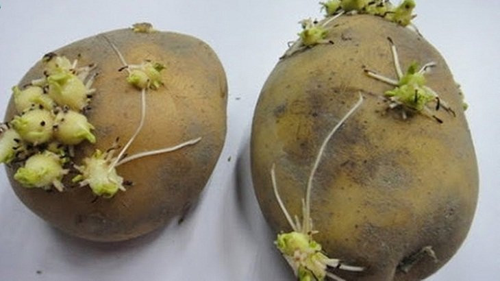 6 loai rau cu ngam day chat bao quan, nhieu nguoi Viet thich me-Hinh-2