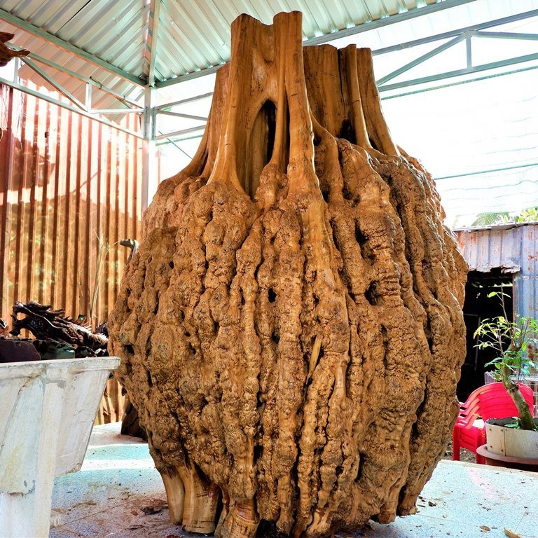 Hai san trong nhu nam, qua bi de choi 3 thang roi nau an-Hinh-2