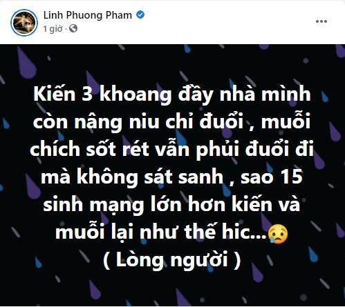 Tinh tin don Nhat Kim Anh bi xoc xiem khi noi 