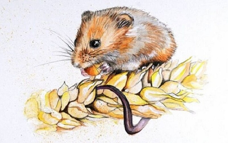 Thang 6, nhung con giap can than vuong hoa thi phi