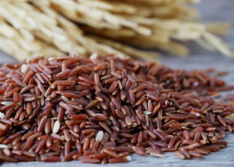 Thoi diem vang uong nuoc gao lut rang giup giam can-Hinh-2